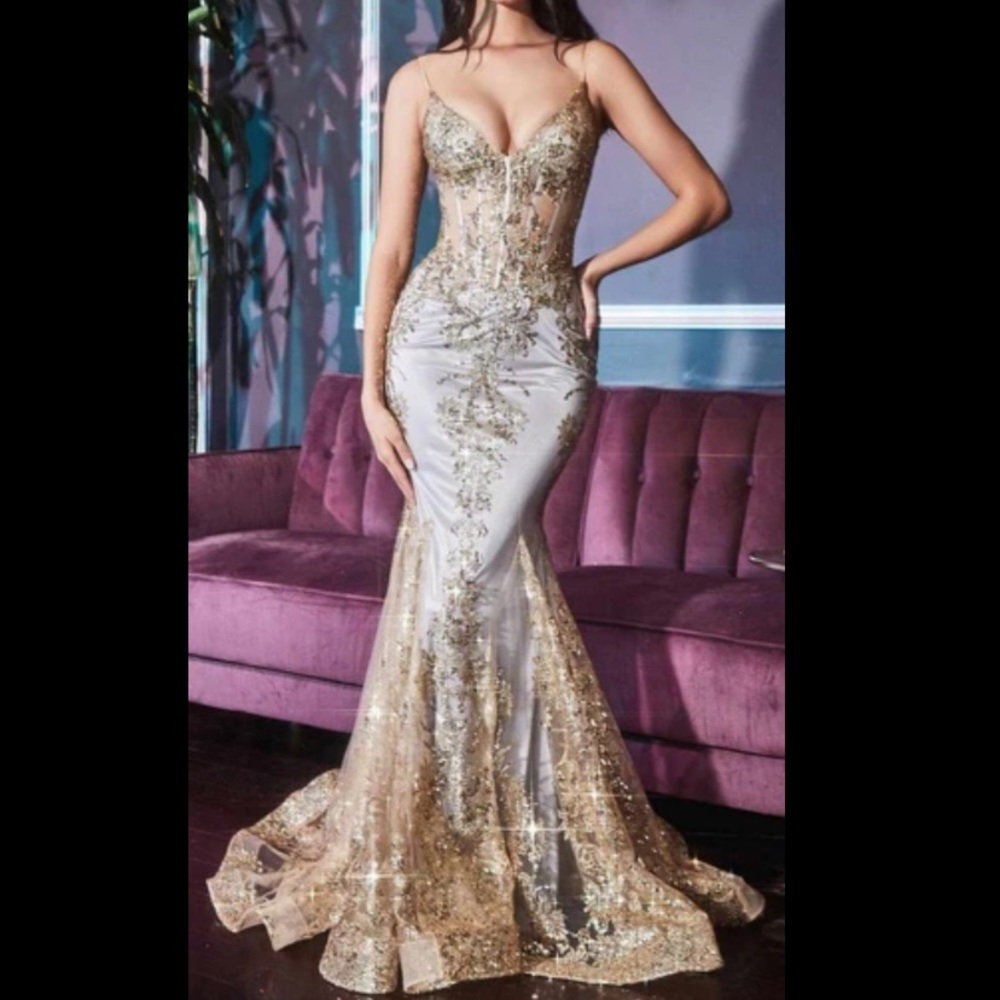 Cinderella divine gold dress